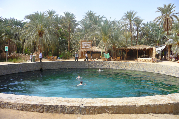 Baharia Oasis Safari at The Back and White Desert