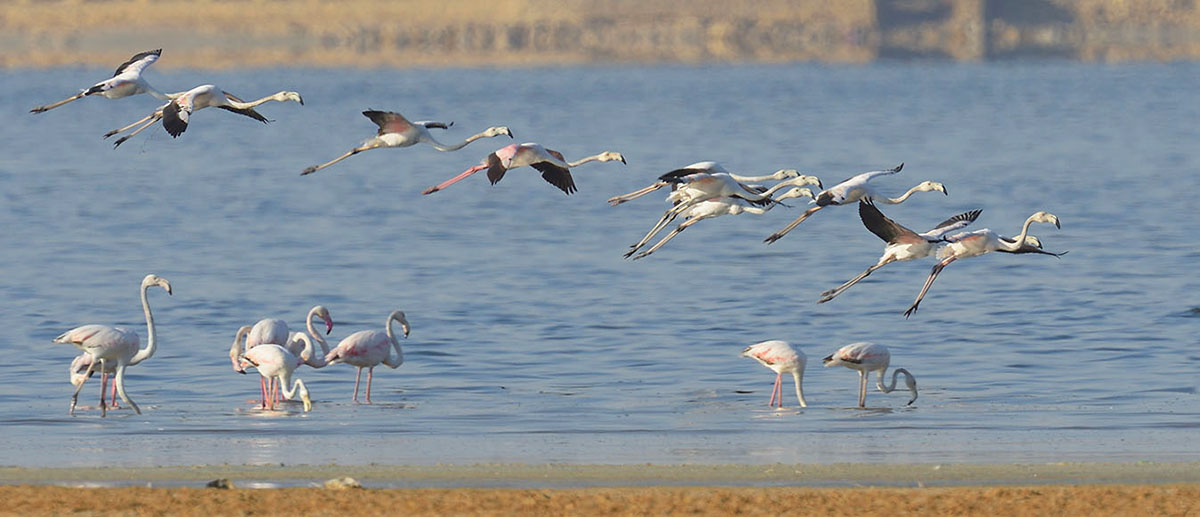 El Fayoum Overday Trip